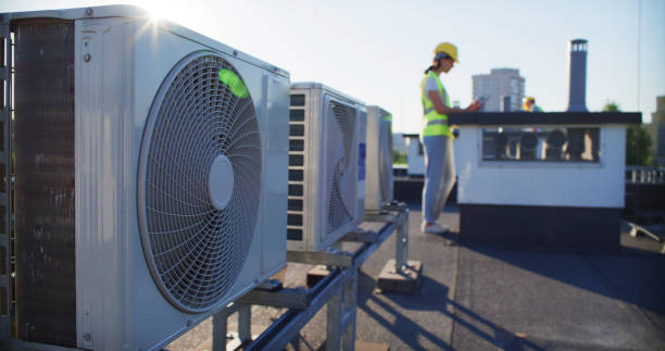 Air Duct Mold Removal in LA